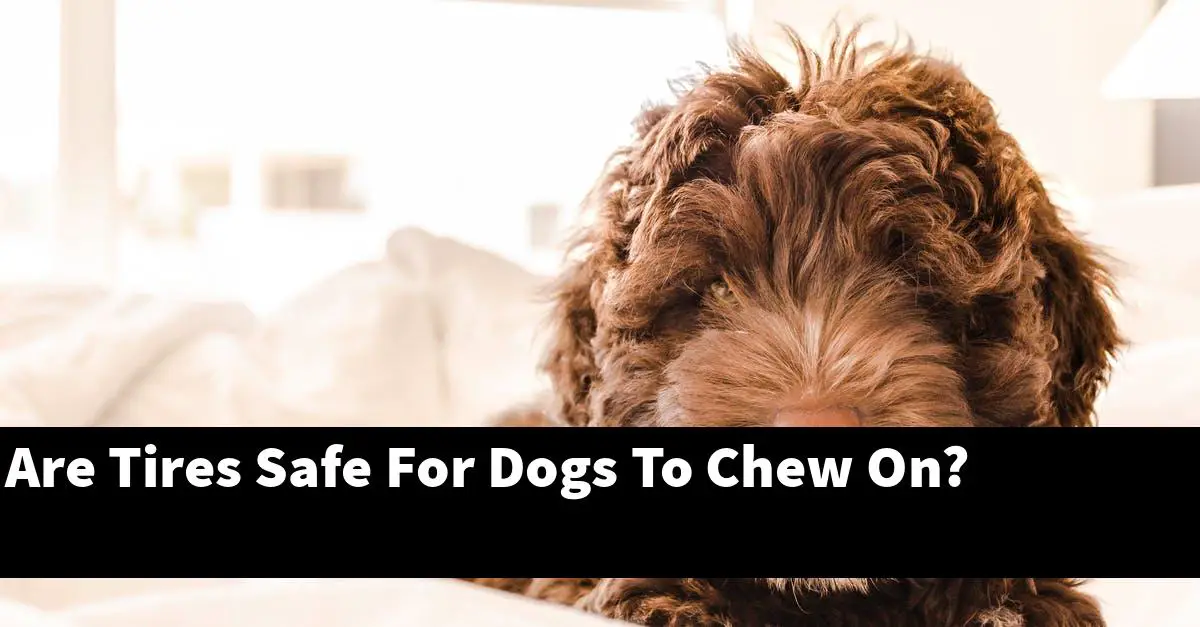 Are Tires Safe For Dogs To Chew On?