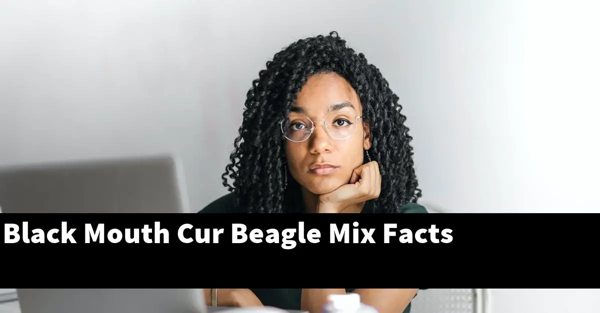 Black Mouth Cur Beagle Mix Facts