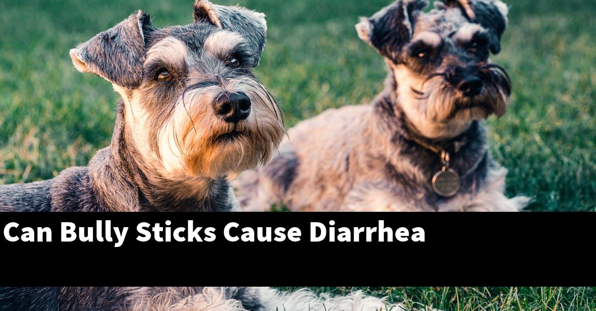Can Bully Sticks Cause Diarrhea