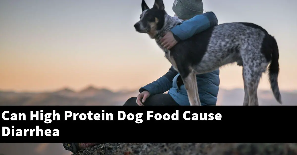 Can High Protein Dog Food Cause Diarrhea
