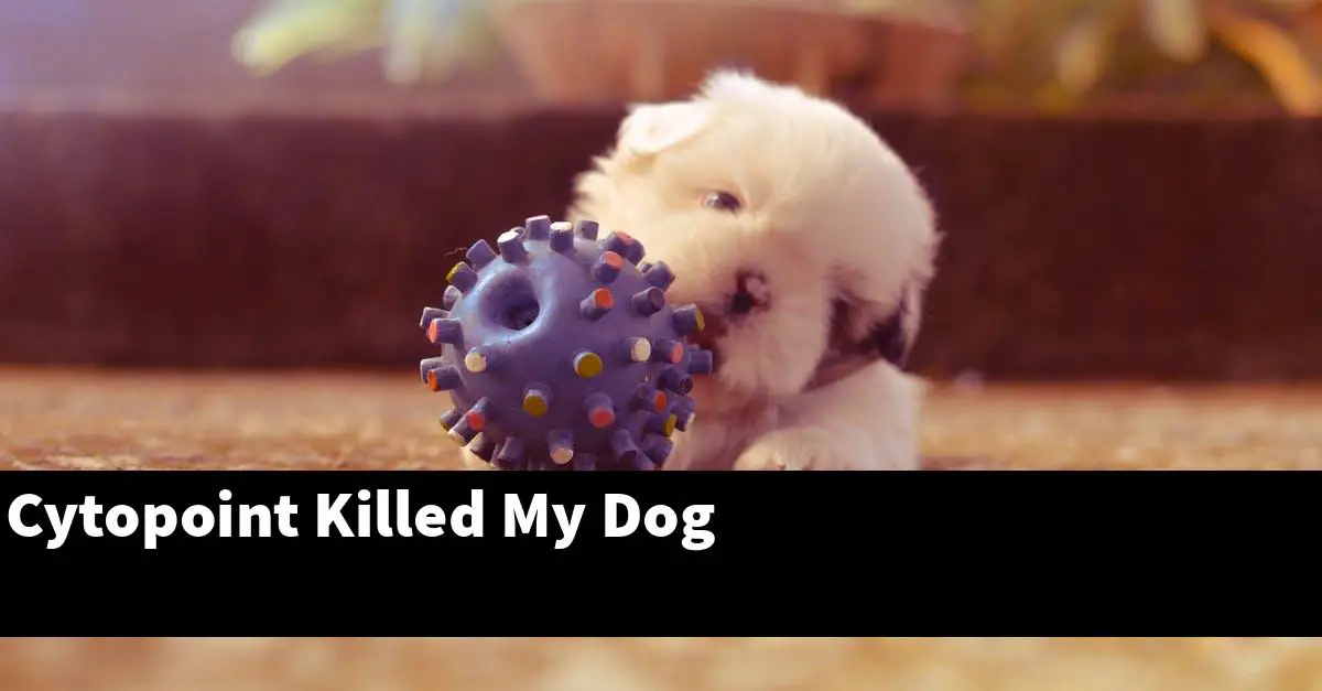 Cytopoint Killed My Dog