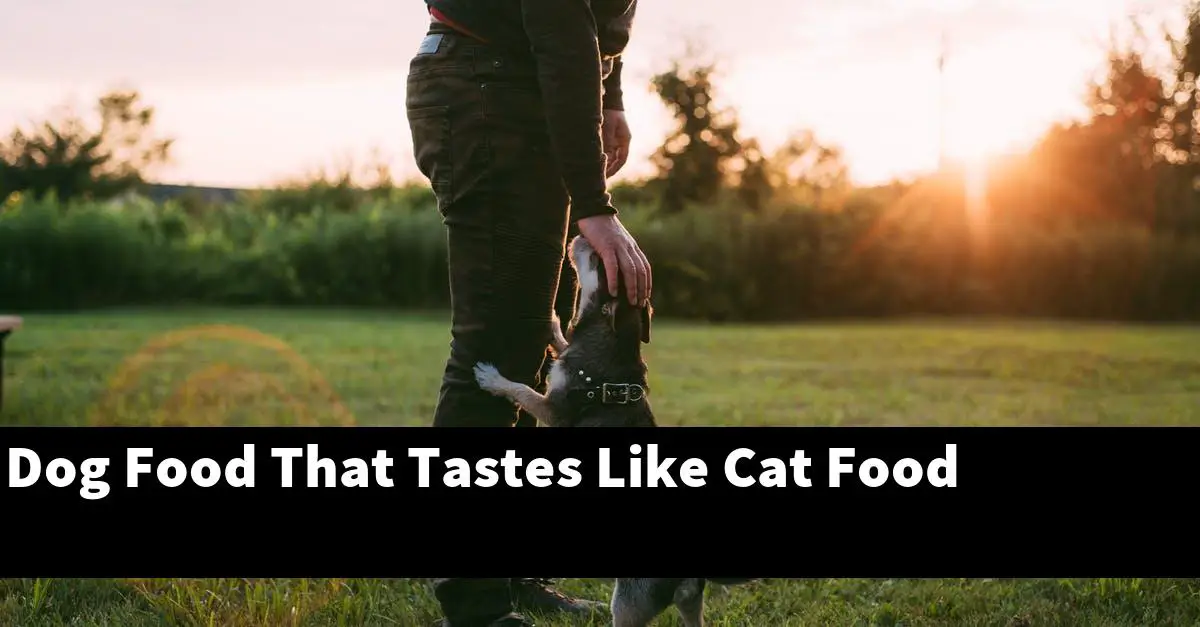 Dog Food That Tastes Like Cat Food