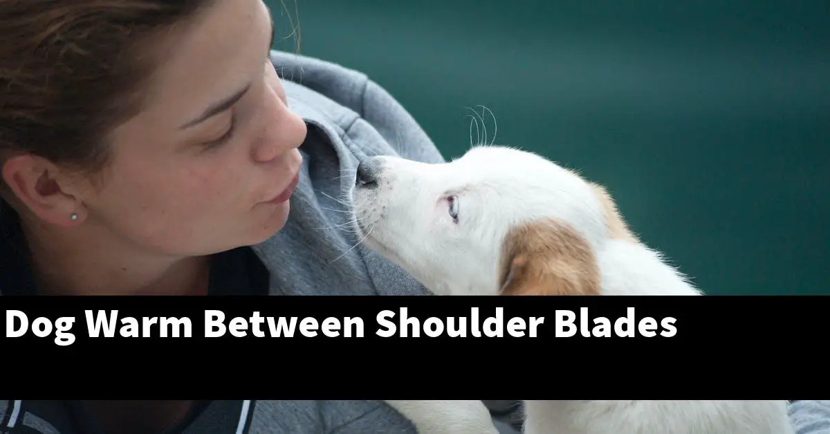 Dog Warm Between Shoulder Blades