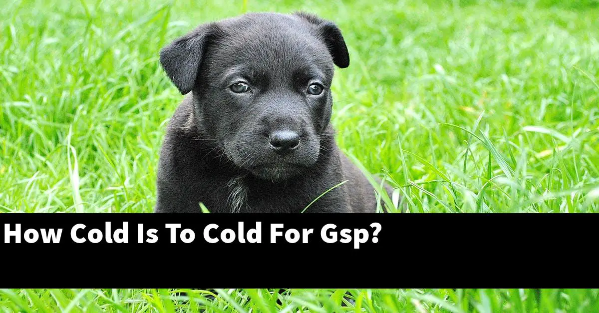 How Cold Is To Cold For Gsp?