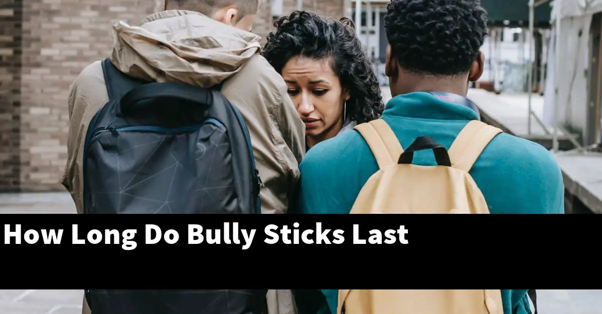 How Long Do Bully Sticks Last