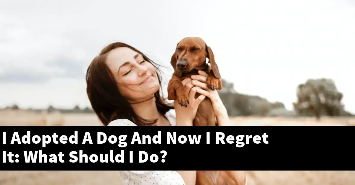 I Adopted A Dog And Now I Regret It: What Should I Do?