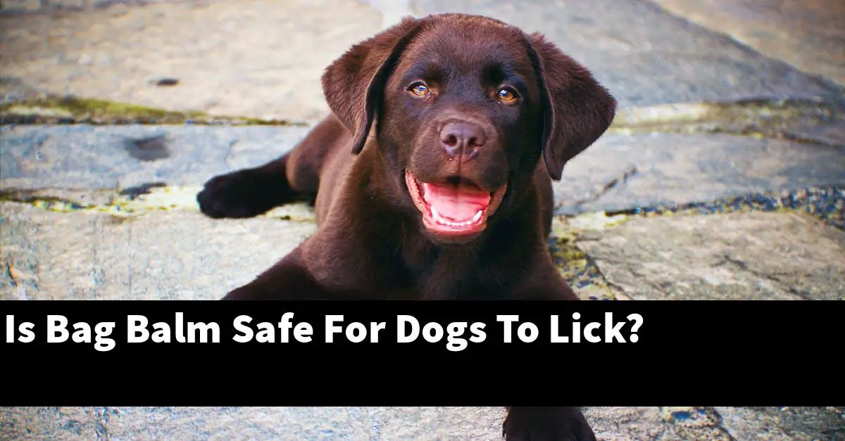 Is Bag Balm Safe For Dogs To Lick?