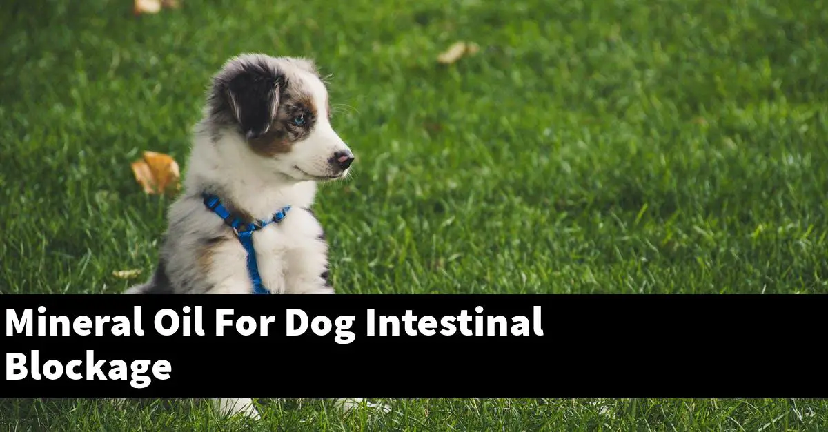 Mineral Oil For Dog Intestinal Blockage