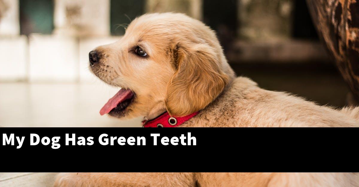 My Dog Has Green Teeth