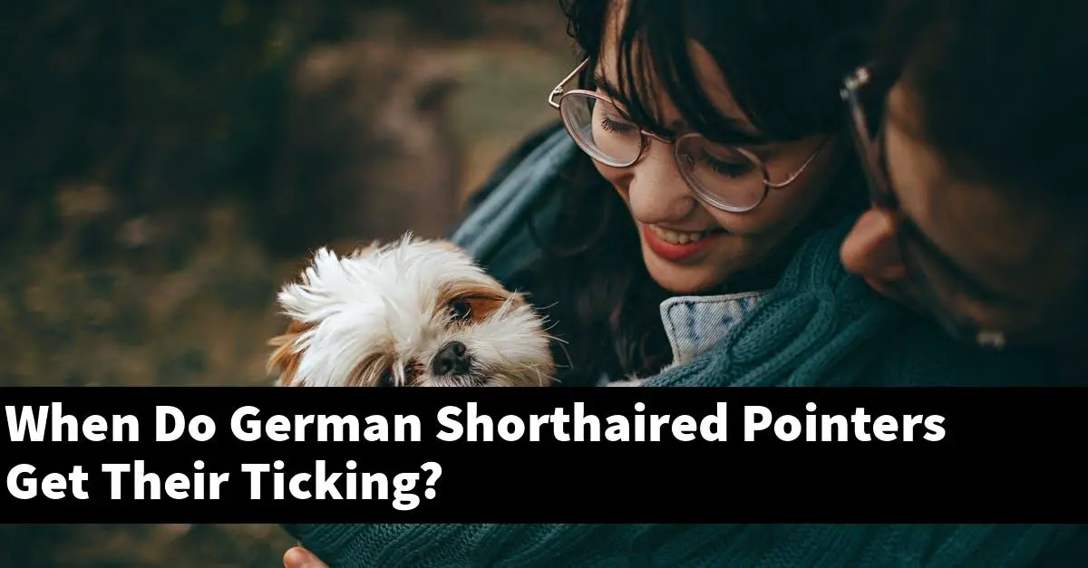When Do German Shorthaired Pointers Get Their Ticking?
