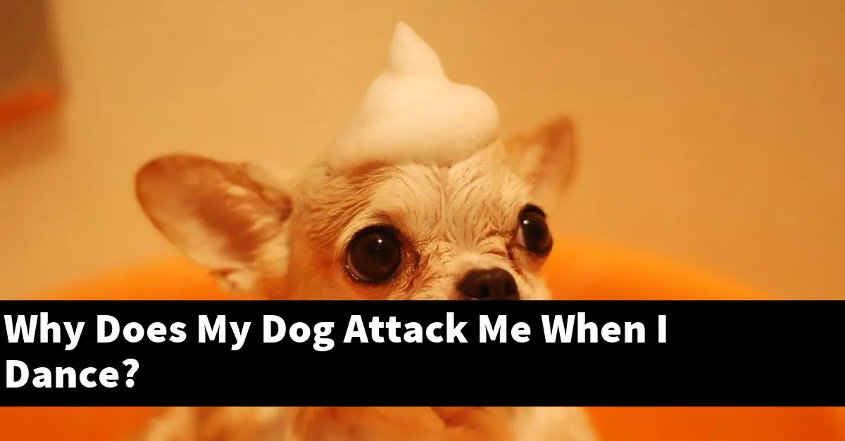 Why Does My Dog Attack Me When I Dance?