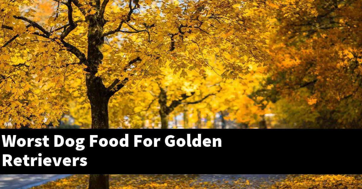 Worst Dog Food For Golden Retrievers