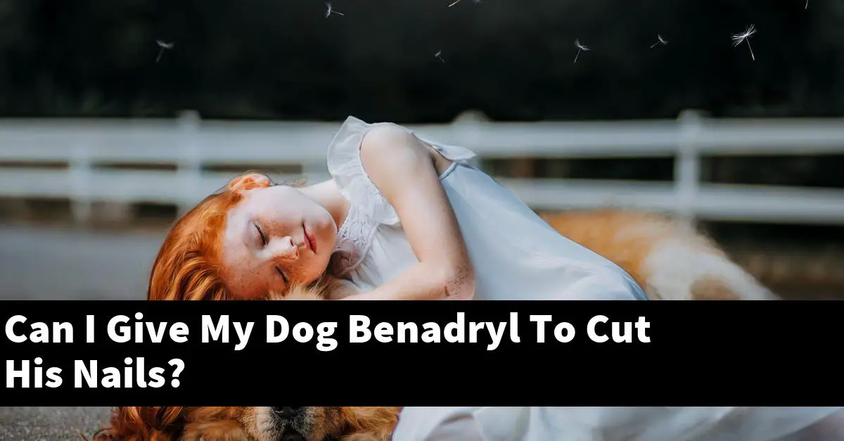 Can I Give My Dog Benadryl To Cut His Nails?