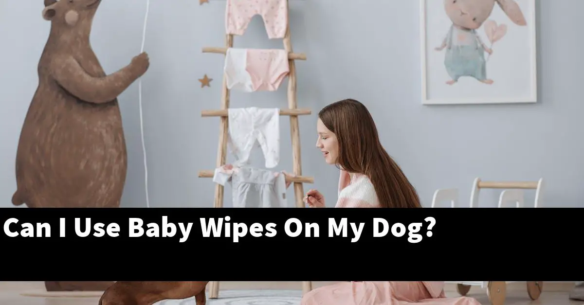 Can I Use Baby Wipes On My Dog?