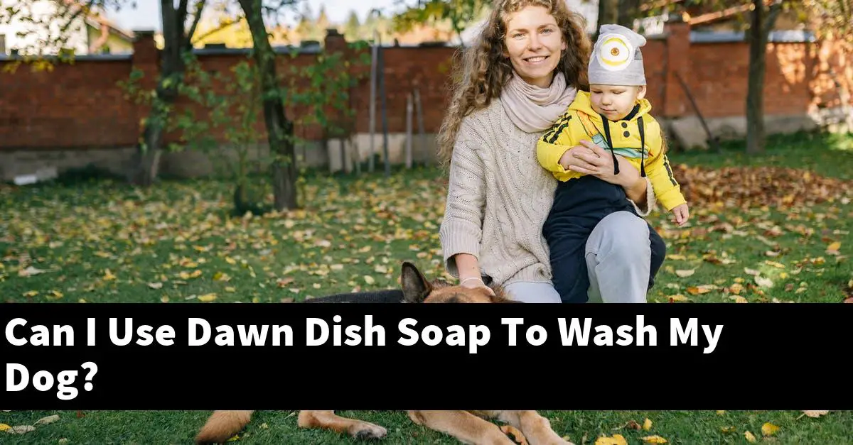 Can I Use Dawn Dish Soap To Wash My Dog?