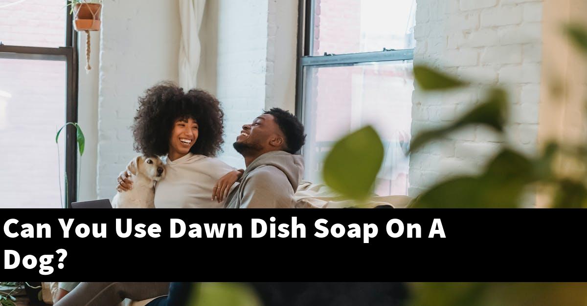 Can You Use Dawn Dish Soap On A Dog?
