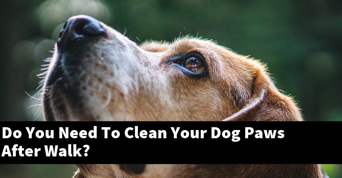 Do You Need To Clean Your Dog Paws After Walk?