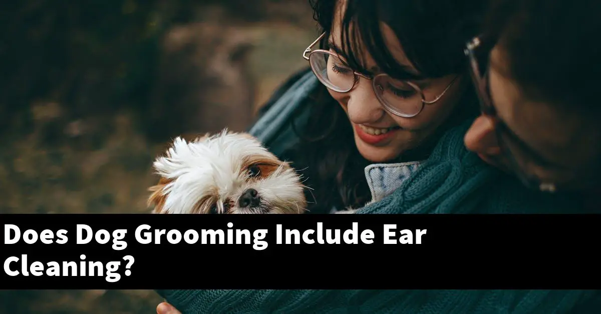 Does Dog Grooming Include Ear Cleaning?