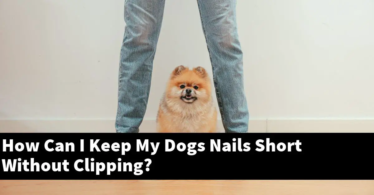 How Can I Keep My Dogs Nails Short Without Clipping?