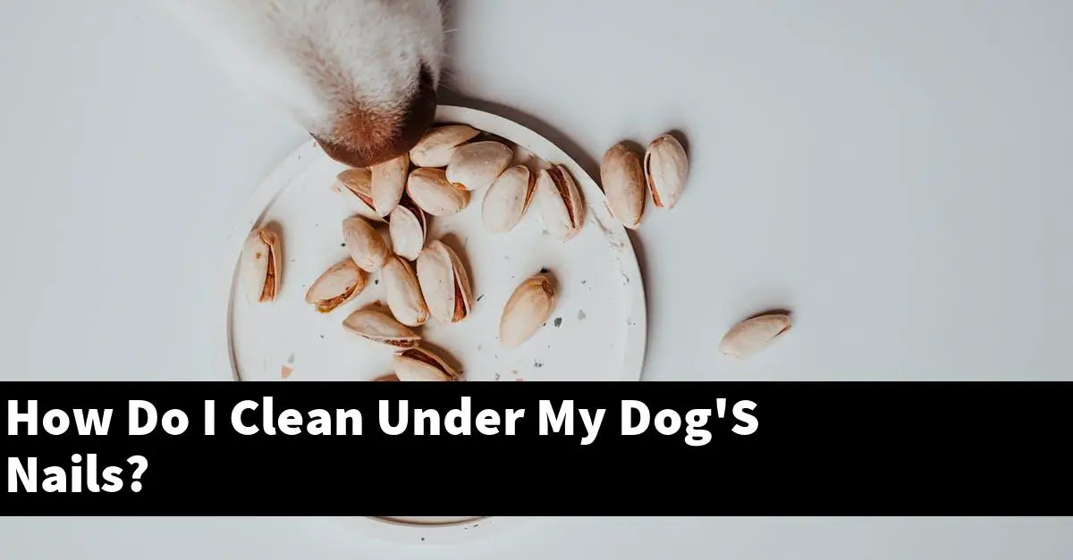 How Do I Clean Under My Dog'S Nails?
