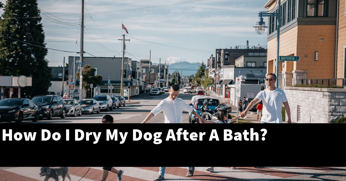 How Do I Dry My Dog After A Bath?