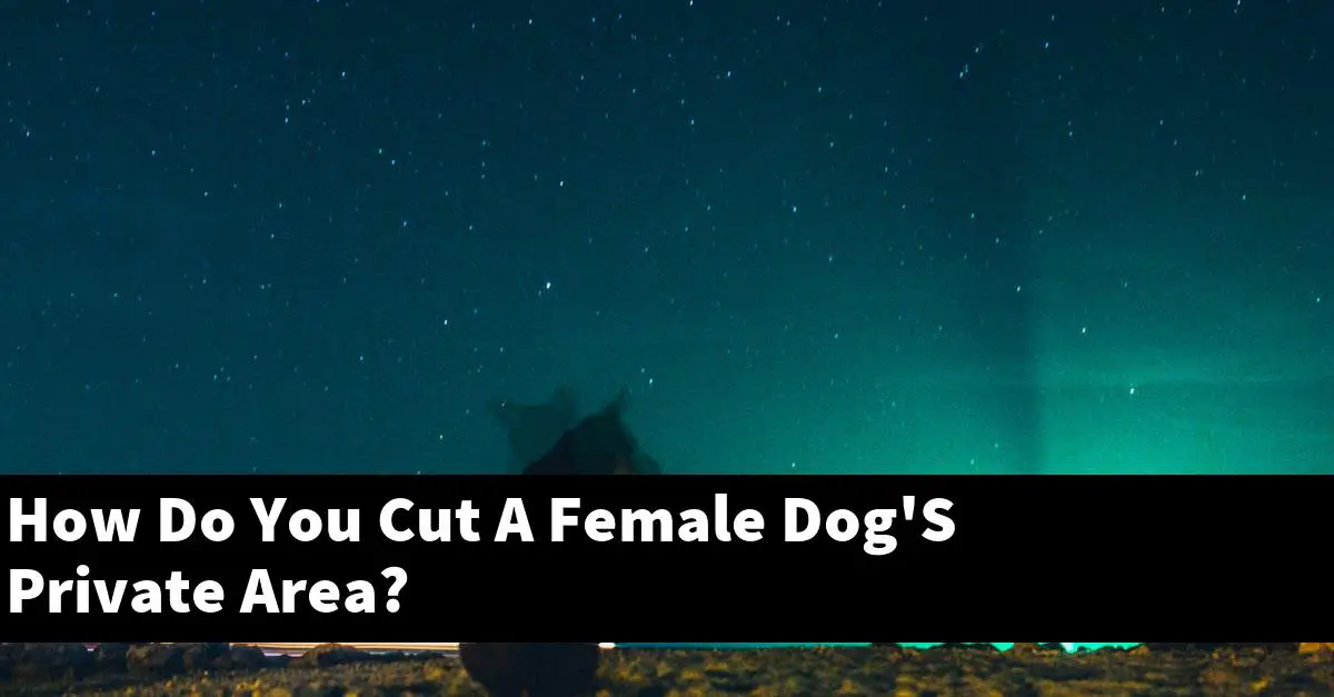 How Do You Cut A Female Dog'S Private Area?