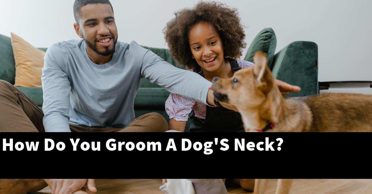 How Do You Groom A Dog'S Neck?