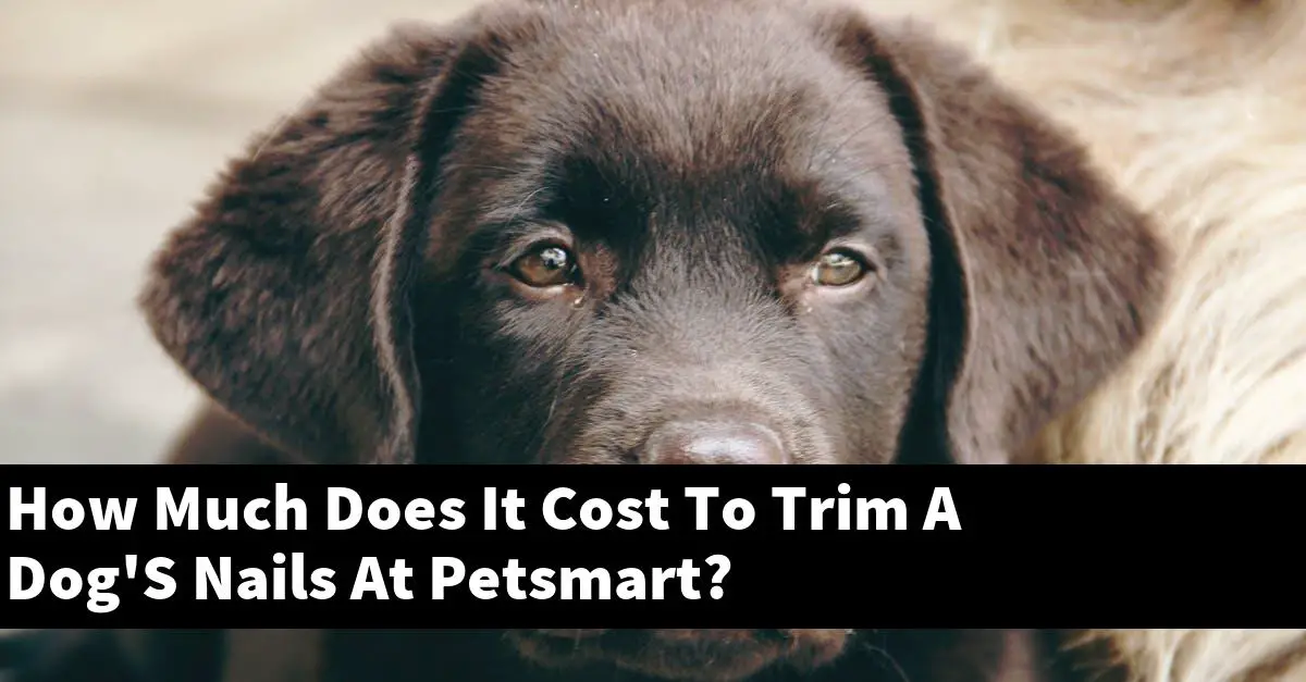 How Much Does It Cost To Trim A Dog'S Nails At Petsmart?