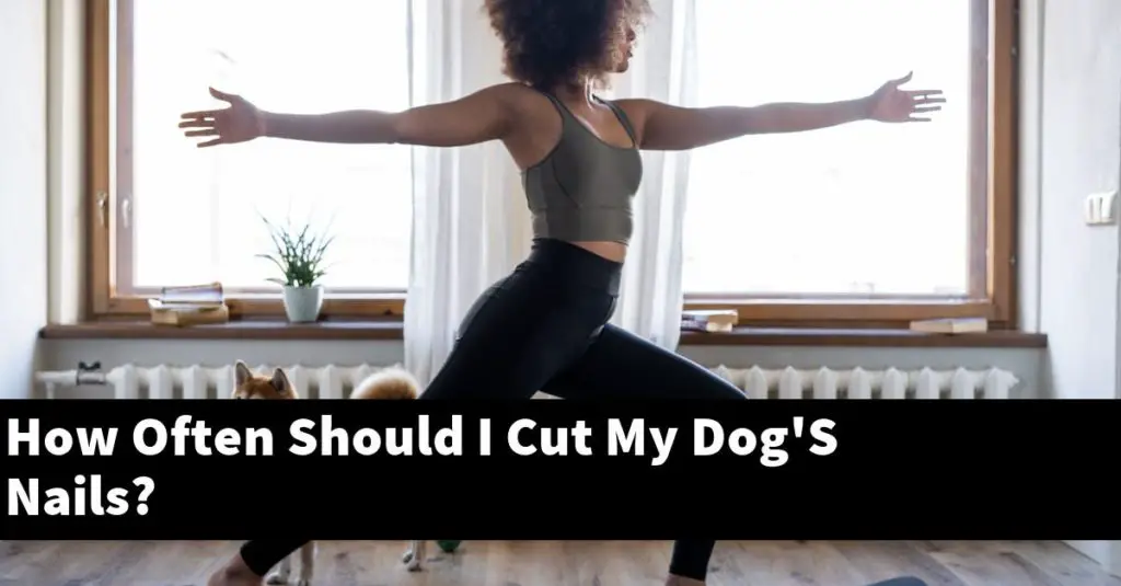 how-often-should-i-cut-my-dog-s-nails-puptopics