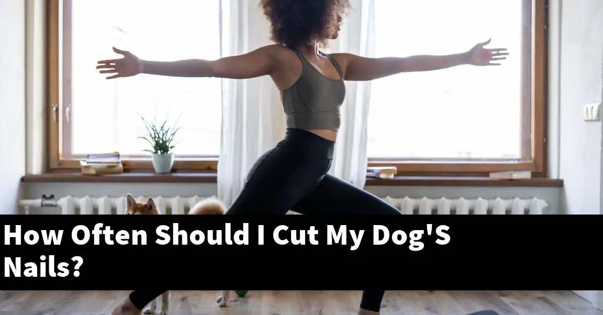 How Often Should I Cut My Dog'S Nails?