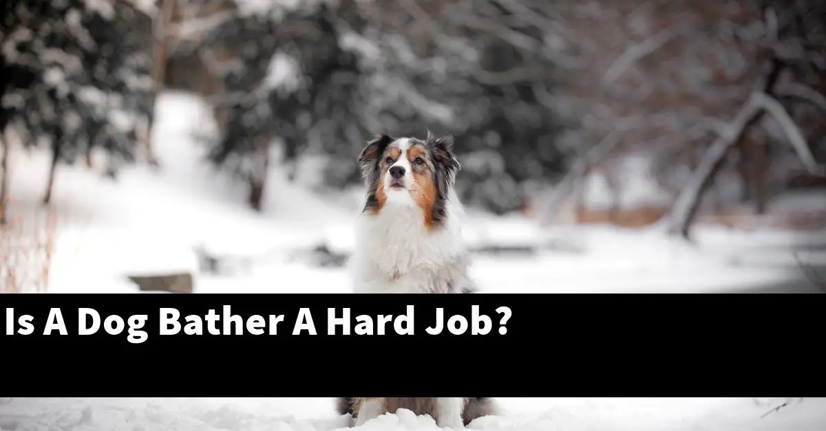 Is A Dog Bather A Hard Job?