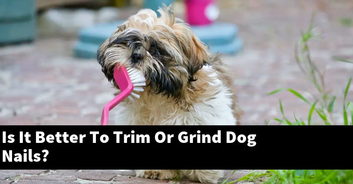 Is It Better To Trim Or Grind Dog Nails?