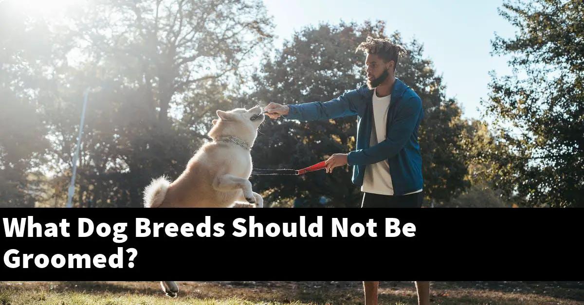 What Dog Breeds Should Not Be Groomed?