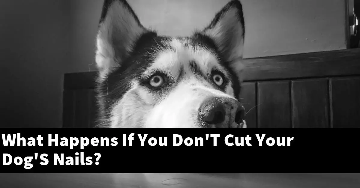 What Happens If You Don'T Cut Your Dog'S Nails?