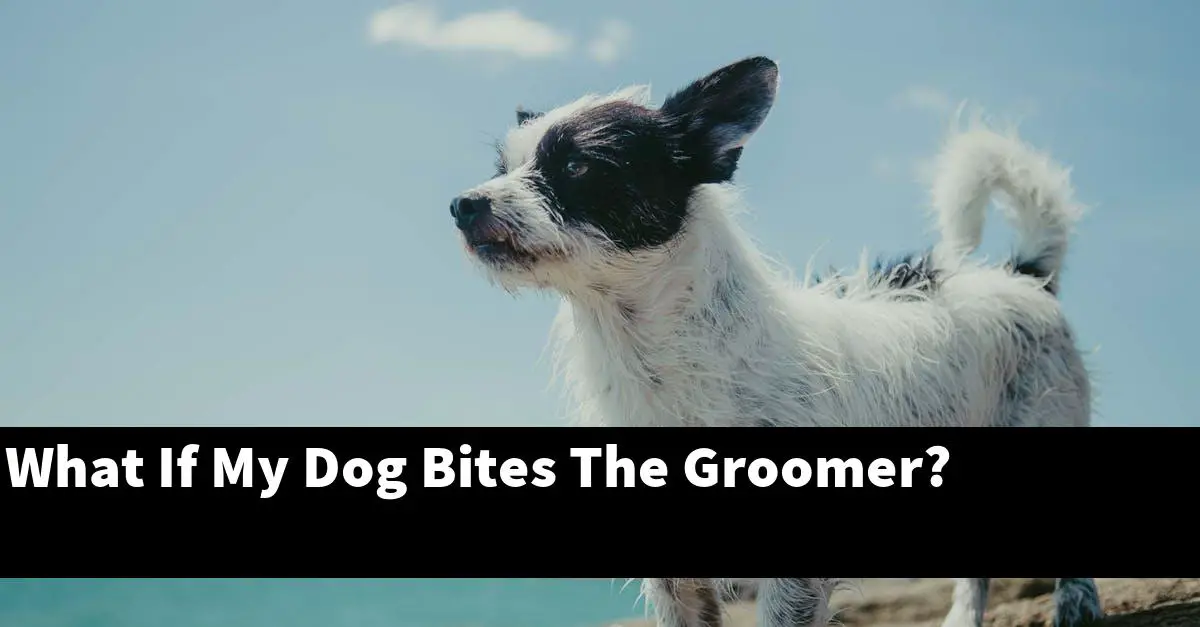 What If My Dog Bites The Groomer?