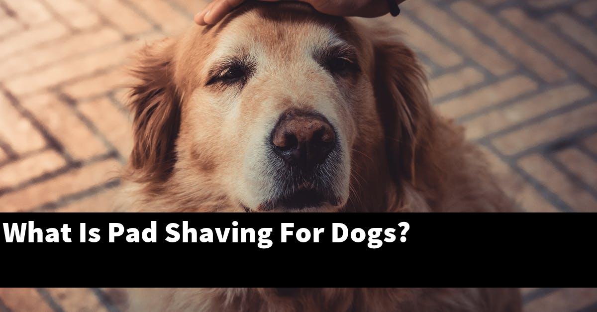 What Is Pad Shaving For Dogs?