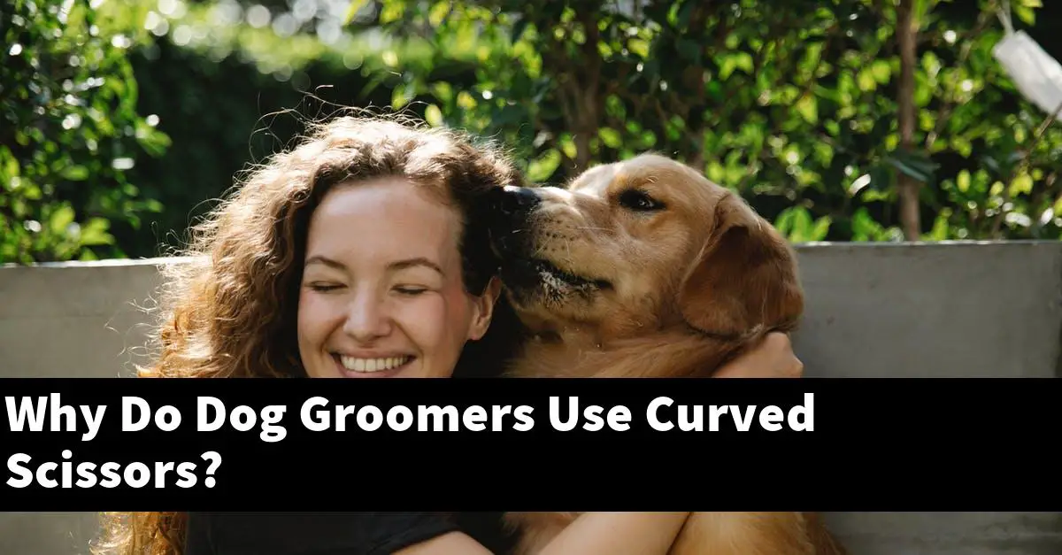 Why Do Dog Groomers Use Curved Scissors?